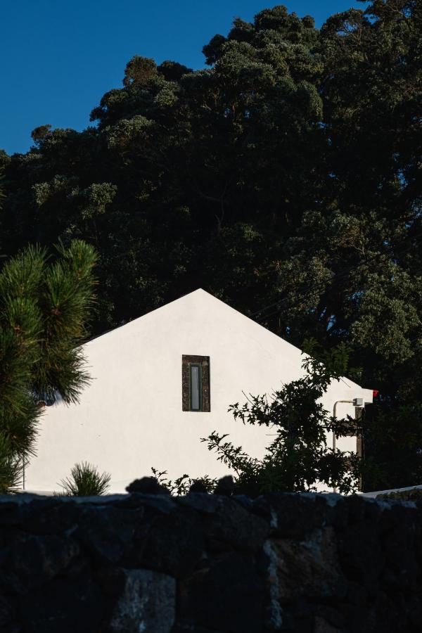 Entre Muros - Turismo Rural - Casa Com Jardim E Acesso Direto Ao Mar Ribeira Grande Exterior foto